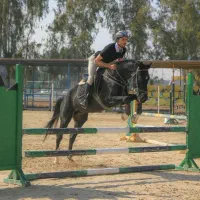 آموزش اسب سواری