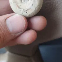 سنگ فسیل|کلکسیون اشیاء عتیقه|کرج, حسن آباد|دیوار