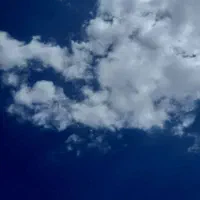 کفتر