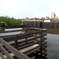 ایزوگام خزایی