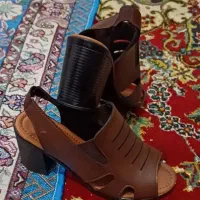 مجلسی و اسپرت|کیف، کفش، کمربند|شیراز, آزادی|دیوار