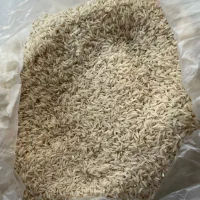 برنج محلی-فروش فقط عمده