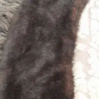 خز پالتو خارجی