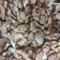 گردو ومغز قیمت خیلی مناسب