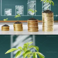 سرمایه گذاری و مشارکت