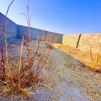 سند-اماده-انتقال-باغچه-شهرکی