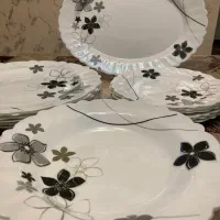 سرویس آرکوپالcalmo