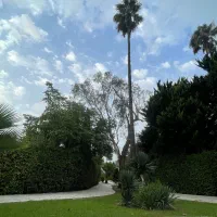 فروش-ویلا-قابل-سکونت-950-متری-در-خزرشهر-شمالی
