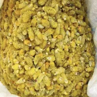 بیدمشک اعلا تازه و مرغوب برای عرق گیری