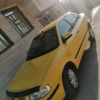 سمند زرد خطی