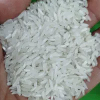 پاکستانی