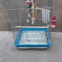 قفس طوطی سایز بزرگ بزرگ معاوضه با پرنده فقط|لوازم جانبی حیوانات|مسجد سلیمان, |دیوار