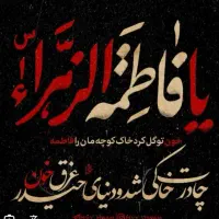 مداح اهل بیت/آقا/ تمامی مجالس