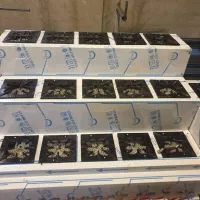 تولید اجاق گاز صنعتی