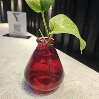 به یک بازنشسته باسابقه برای مدیریت یک مجموعه