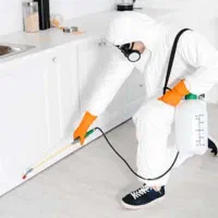 کارگر روزمزد جهت شرکت سم پاشی