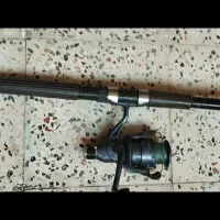 لنسر ماهیگیری