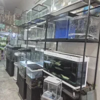 آکواریوم آکوااقساطی بدون سود