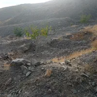 فروش-ملک