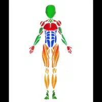 ماساژ، درمان، سلامتی