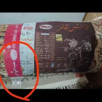 فرش ۱۲ متری نگین مشهد|فرش|سبزوار, قاضی زاد|دیوار