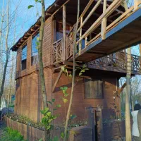 پناهگاهای-چوبی-آرامش-بخش-در-دل-جنگل