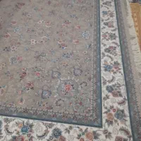 فرش ۶متری|فرش|کرمانشاه, |دیوار