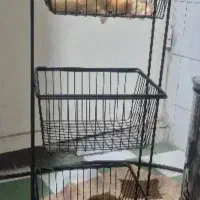 سبد سیب زمینی وپیاز