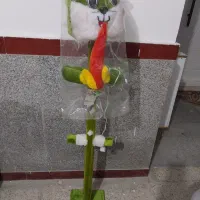 چراغ خواب نوزاد سالم و تمیز عروسکی