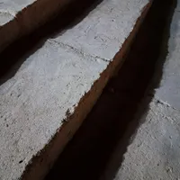 نیازچوپان دارم