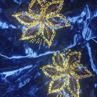 منجوق دوزی و جواهر دوزی لباس|لباس|لردگان, |دیوار