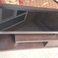 زیر تلویزیونی