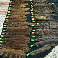 خرید و فروش خریدار موهای طبیعی بدون واسطه|آرایشی، بهداشتی، درمانی|محمدشهر, محمدشهر|دیوار