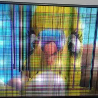 تلویزیون۴۲ ال جی ضربه خورده|تلویزیون و پروژکتور|پاکدشت, پاکدشت (مامازند)|دیوار