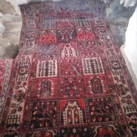 فرش|فرش|مشهد, طبرسی شمالی|دیوار