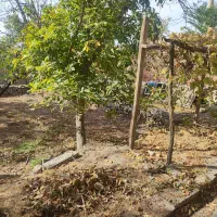 خانه باغچه5400متری انشعابات داربهترین موقعیت اسکو|فروش زمین و ملک کلنگی|اسکو, |دیوار