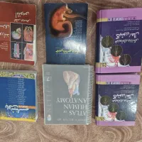 علوم پایه پزشکی گایتون اطلس نتر لانگمن جان کوئیراا