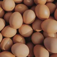 تخم مرغ محلی|خوردنی و آشامیدنی|مسجد سلیمان, |دیوار