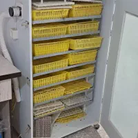 دستگاه جوجه کشی