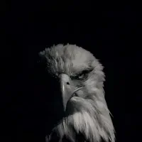 اکانت کاربردی bomb hub