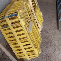 جعبهی حیوانات|لوازم جانبی حیوانات|زنجان, |دیوار