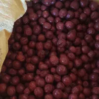 عناب تازه امسالی