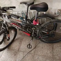 دوچرخه ویوا ورتکس و پوما