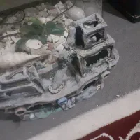 اکواریوم ماهیران|ماهی|پاکدشت, پاکدشت (مامازند)|دیوار