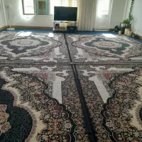 پشتی و فرش|فرش|سرپل ذهاب, |دیوار