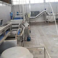 خط شست و شو تمام اتومات صنعتی سالاد وسبزی