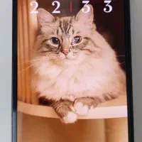 شیائومی نوت ۱۳ 4G