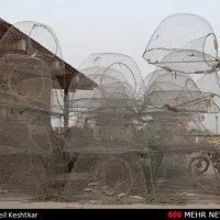 گرگور تورماهی گیری