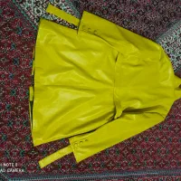 پالتو سالم هست