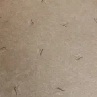 پالاز موکت در حد نو